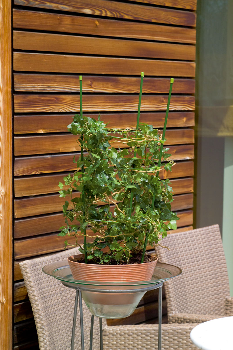 Stocker Rankhilfe 75 cm