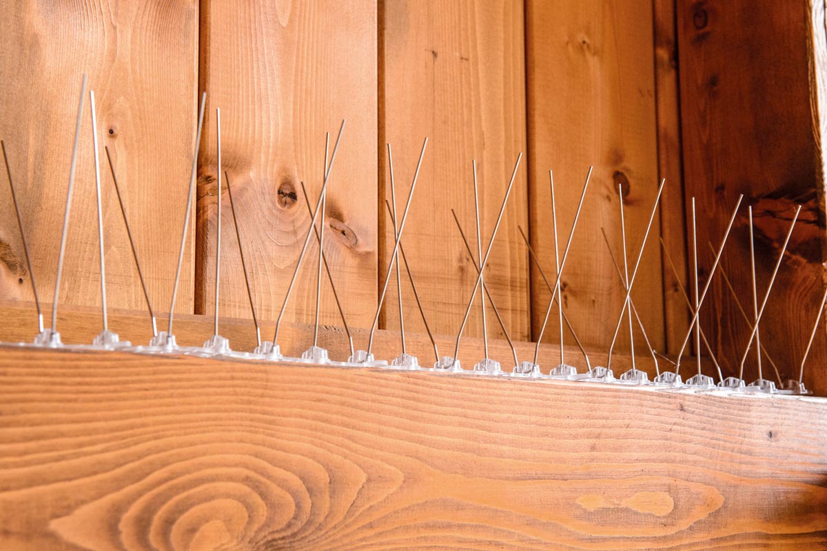 Vogelschreck mit 30 Spikes