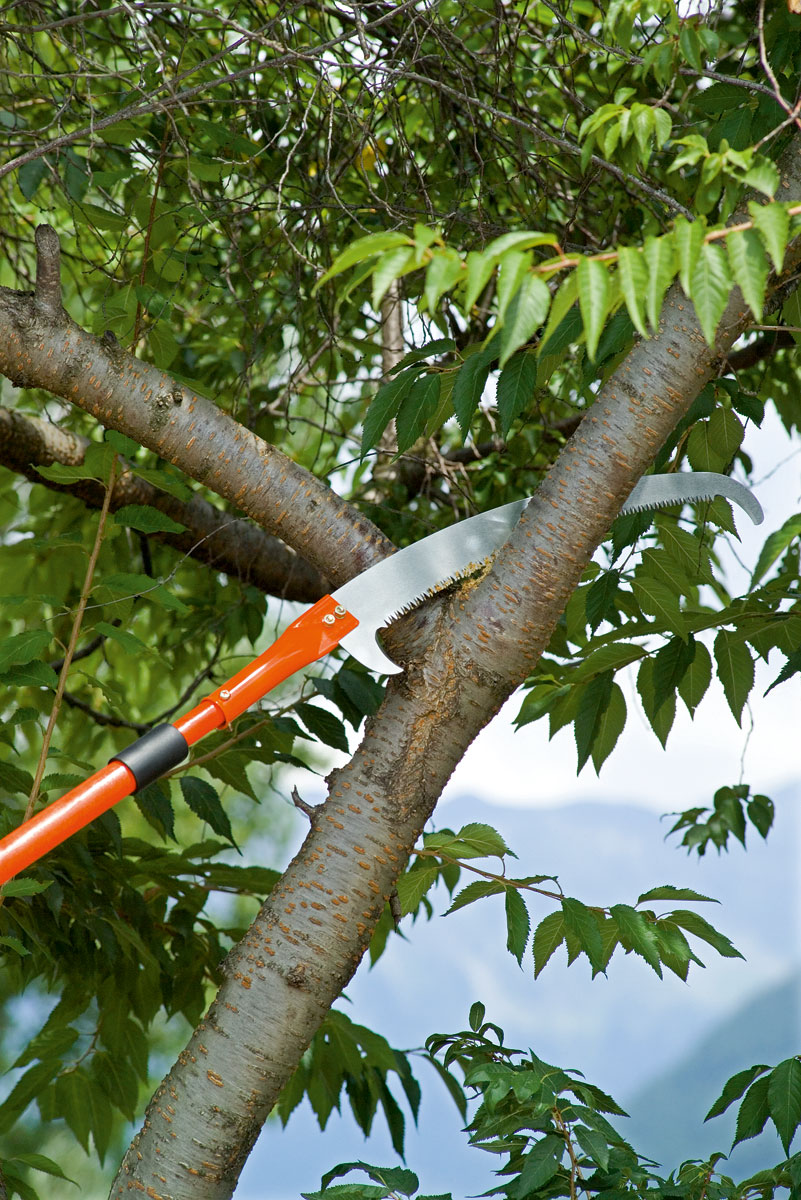 Stocker Säge Falco