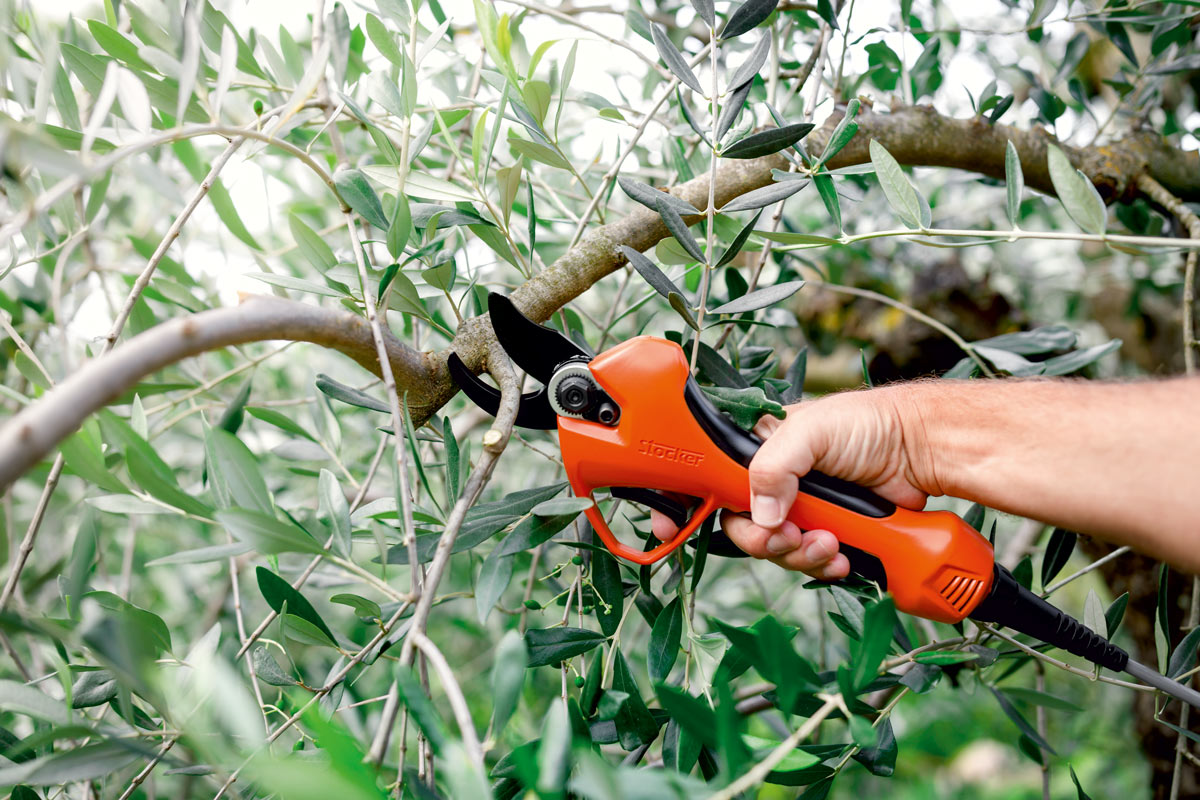 Stocker Schere Vulcano E-35 TPC