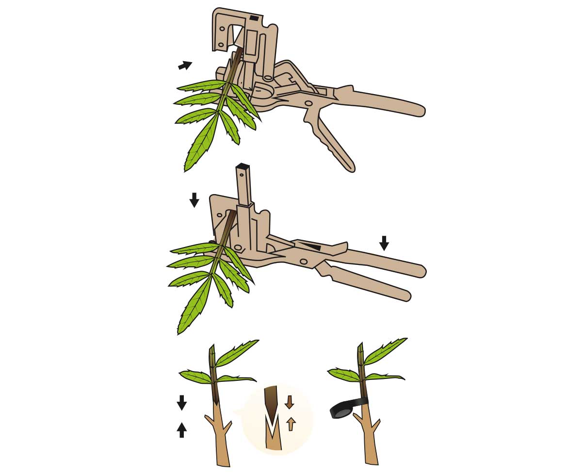 Stocker Veredelungszange Top