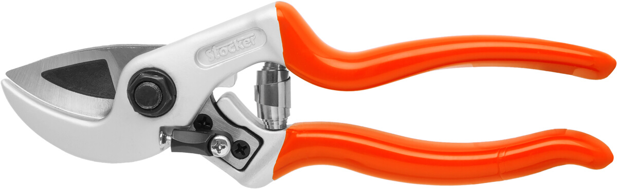 Schere Profi Amboss 19