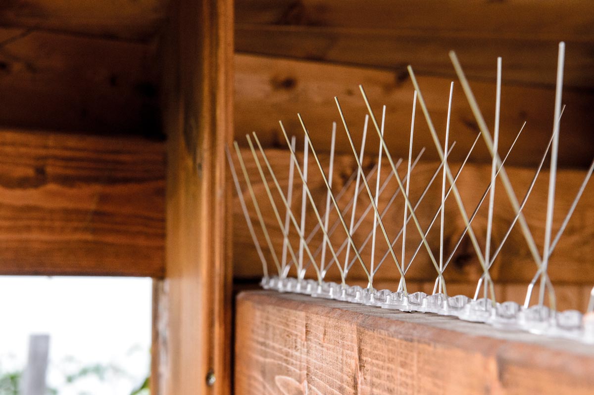 Vogelschreck mit 30 Spikes