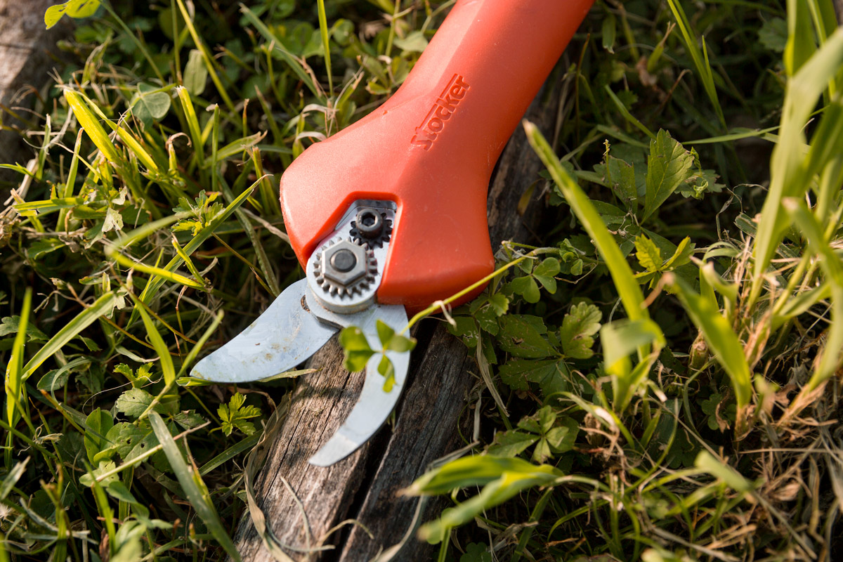 Stocker Kantia E-22 TR Langarmschere