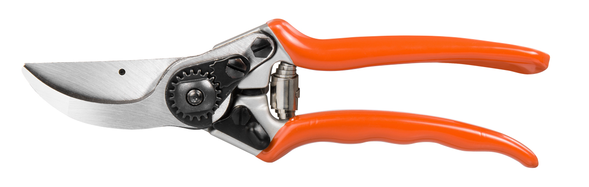 Stocker Schere Profi Bypass 21